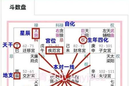紫薇斗数流分盘