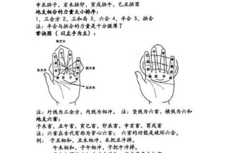 命运在哪里算命