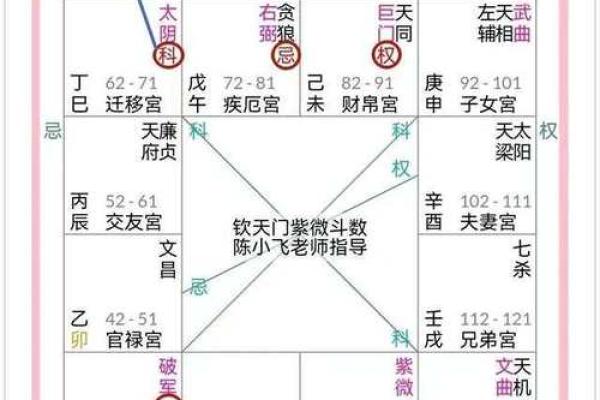 紫薇斗数壬干格局