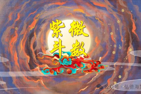 灵机紫薇斗数下载
