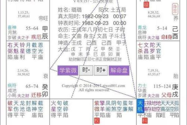 灵机紫薇斗数下载