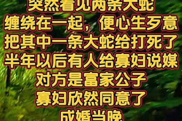 民间故事：寡妇算命
