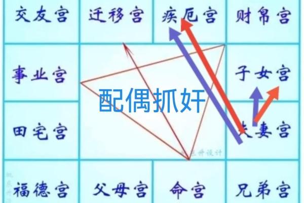 紫薇斗数实例详解视频