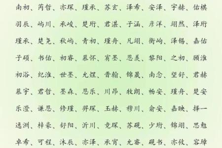 2019年3月16号午时出生的男孩要怎么起名字姓名