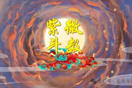 灵机紫薇斗数下载