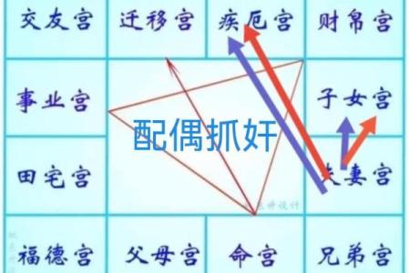 紫薇斗数实例详解视频