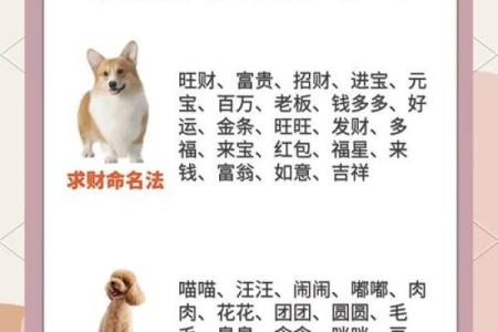 二月份出生的属狗男孩怎么取名字姓名