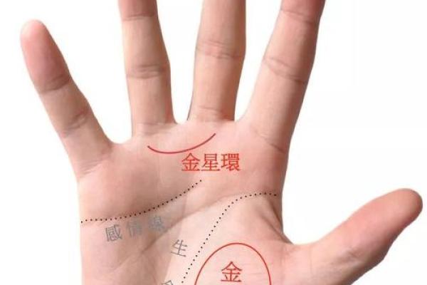 图解：手相金星环算命