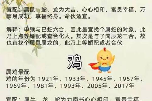男猴女马生肖配对姻缘