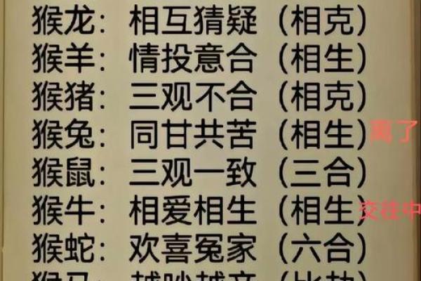 男猴女马生肖配对姻缘