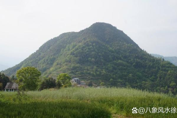 后辈出贵人祖坟风水：贵子之地