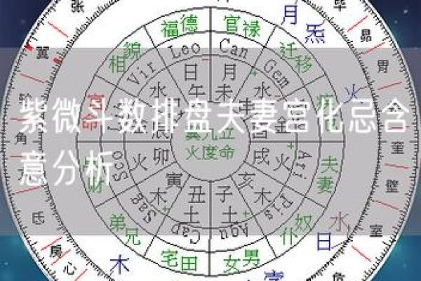 紫薇斗数能解灾的星
