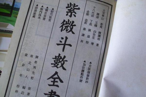紫薇斗数无格局