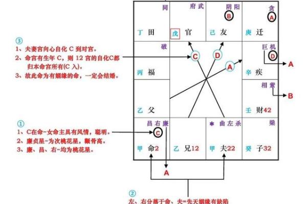 紫薇斗数里在哪里可以看怎么看三婚女人