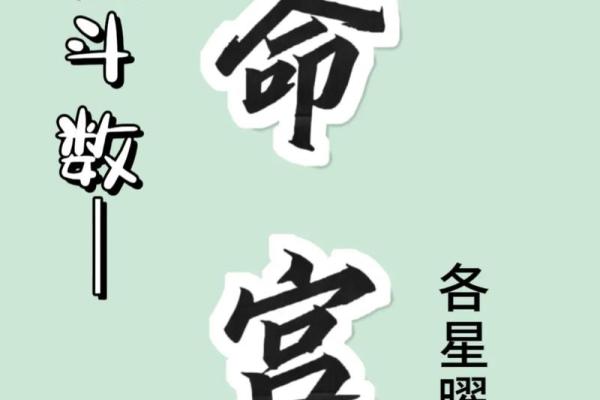 紫薇斗数中天机星化禄，在命格中的造化如何？天机星四化力量