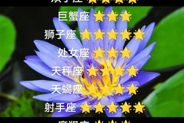 白羊座每月分析星座运势