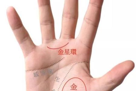 图解：手相金星环算命