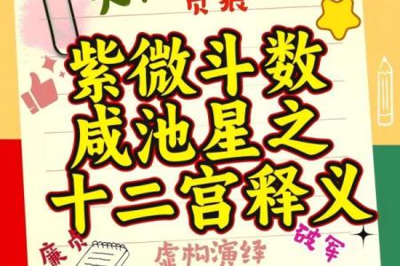 八字有咸池代表是什么？