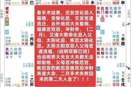 太阳在子女宫，紫微斗数太阳星入子女宫