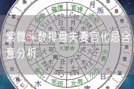 紫薇斗数能解灾的星
