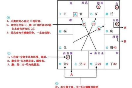 紫薇斗数里在哪里可以看怎么看三婚女人