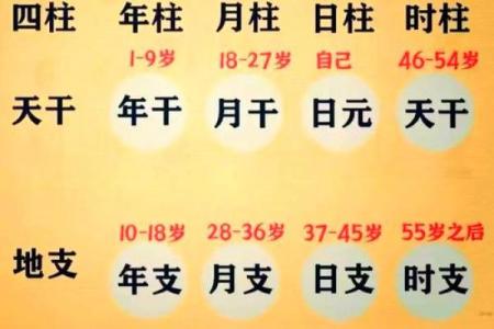 生辰八字喜用色，你知道吗？