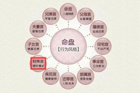 紫薇斗数中的禄存