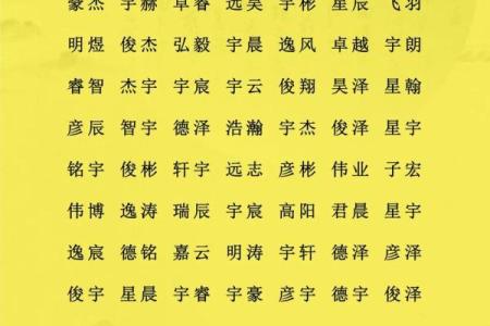 2019年4月20号子时出生的男孩应该起什么样的名字姓名