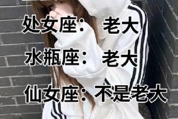 十二星座之王