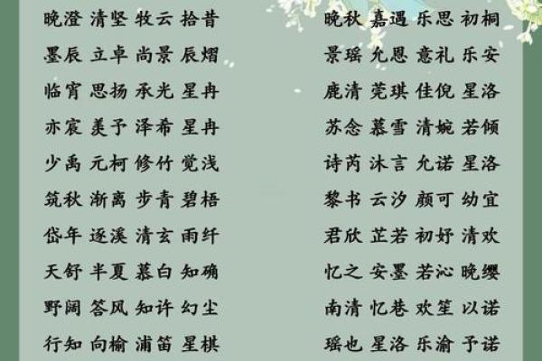 晚上1点出生的属鼠男孩取名大全姓名