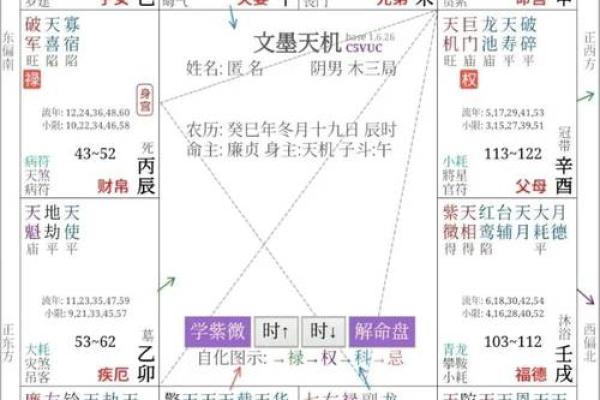 紫微排盘,科星逢破格命格详解