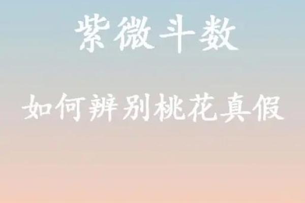 紫薇斗数全书真假判断