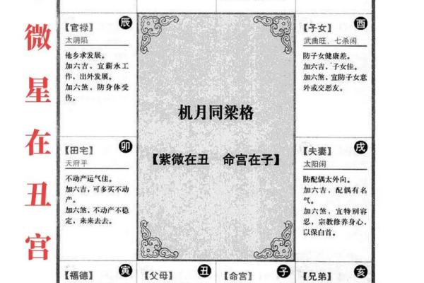 紫薇斗数怎么算寿命