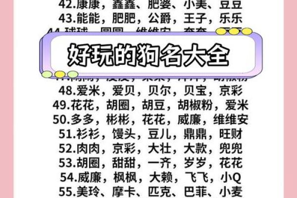 中午12点出生的属狗男孩取什么名，适合什么字姓名