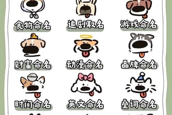 中午12点出生的属狗男孩取什么名，适合什么字姓名