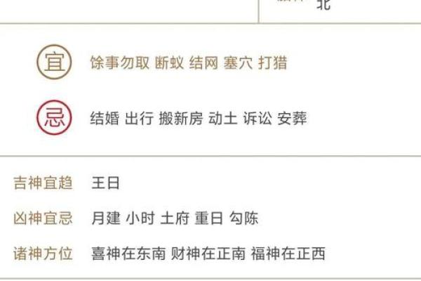 庙会算命2024