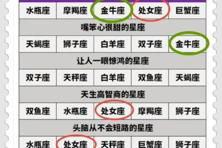 2024年各家星座运势