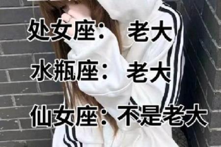 十二星座之王