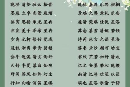 晚上1点出生的属鼠男孩取名大全姓名