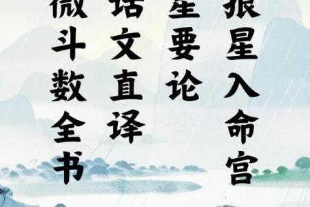 了无居士紫薇斗数