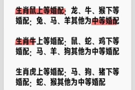 属相婚配十二生肖配对图表，属相婚配十二生肖配对图表图片？