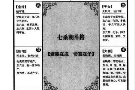 紫薇命盘疾厄宫廉贞天相