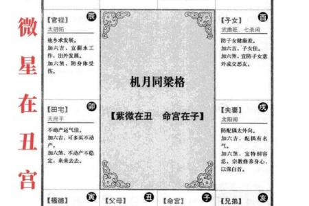 紫薇斗数怎么算寿命
