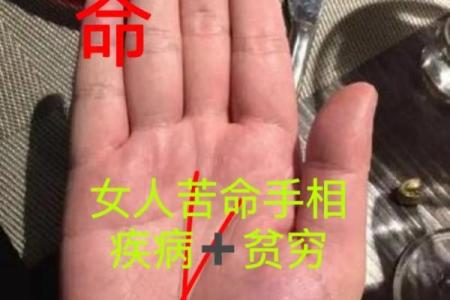 女人手纹算命图解,有福气的女人手相