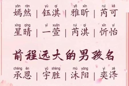 2019年6月14号子时出生的男孩应该起什么样的名字姓名