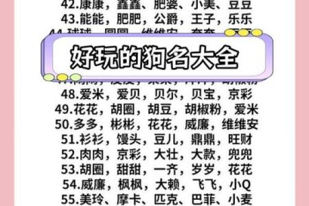 中午12点出生的属狗男孩取什么名，适合什么字姓名
