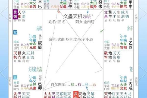 紫薇斗数中落局是什么意思