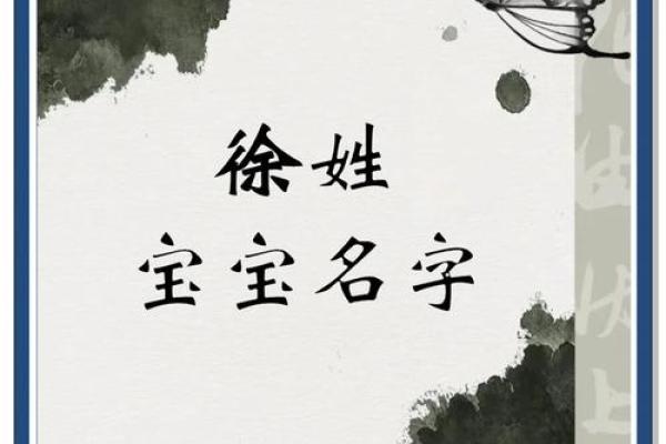 徐姓女孩名字大全-徐姓女孩起名字大全-徐姓名字大全姓名