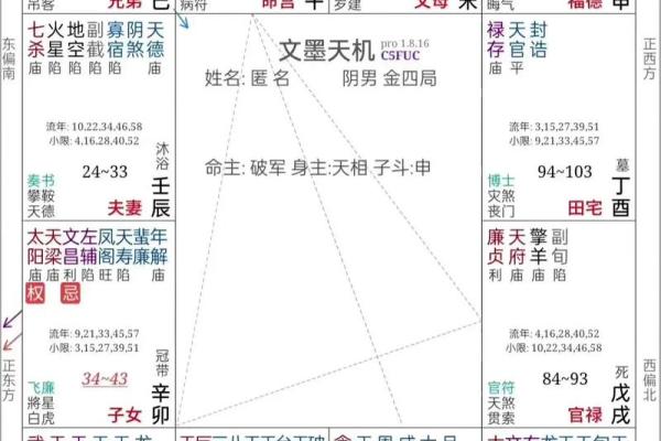 紫微斗数夫妻宫紫薇星