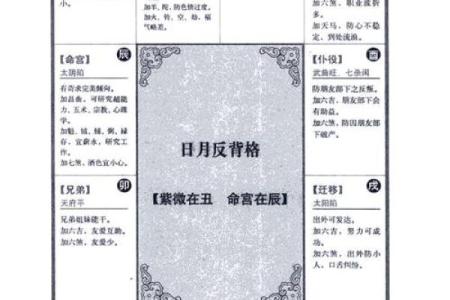 紫薇斗数命格